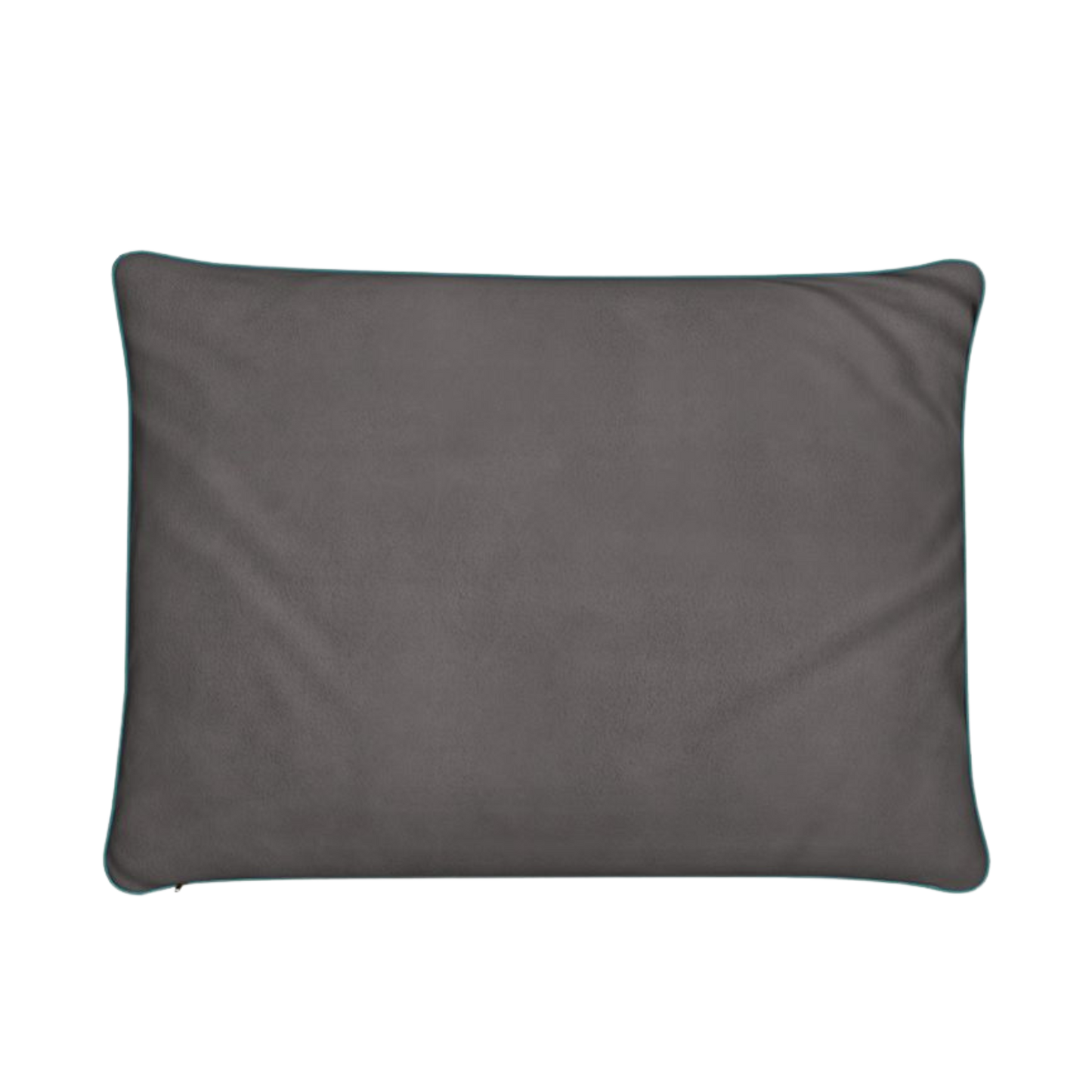 Luxury Dogs of Whitstable Cushion by Lauren Rogers-Martin — fine art cushion with five real Whitstable dogs outside The Old Neptune pub.