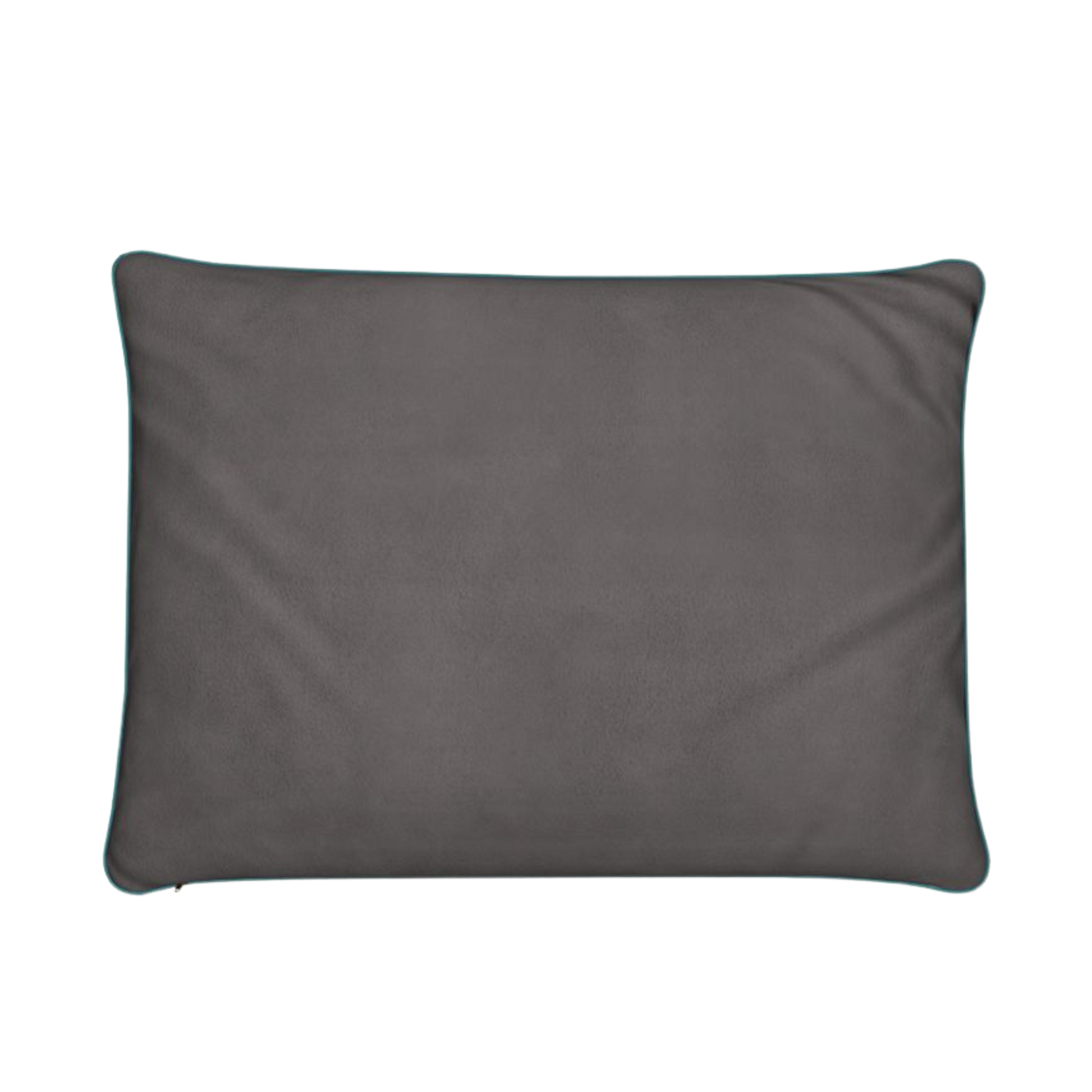 Luxury Dogs of Whitstable Cushion by Lauren Rogers-Martin — fine art cushion with five real Whitstable dogs outside The Old Neptune pub.