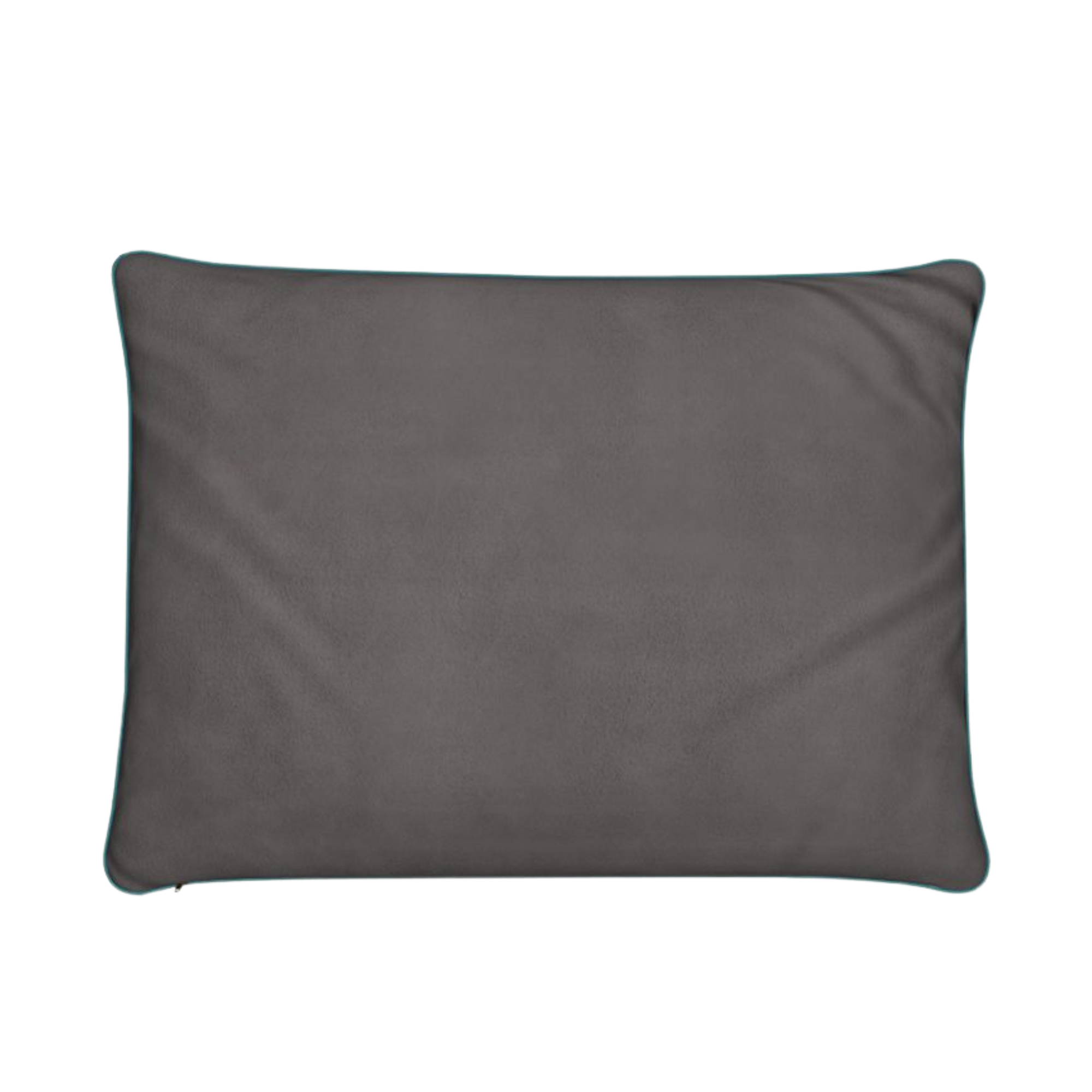 Luxury Dogs of Whitstable Cushion by Lauren Rogers-Martin — fine art cushion with five real Whitstable dogs outside The Old Neptune pub.