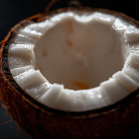 Creamy coconut – key fragrance note in Whitstable Love candle by LRM Studio