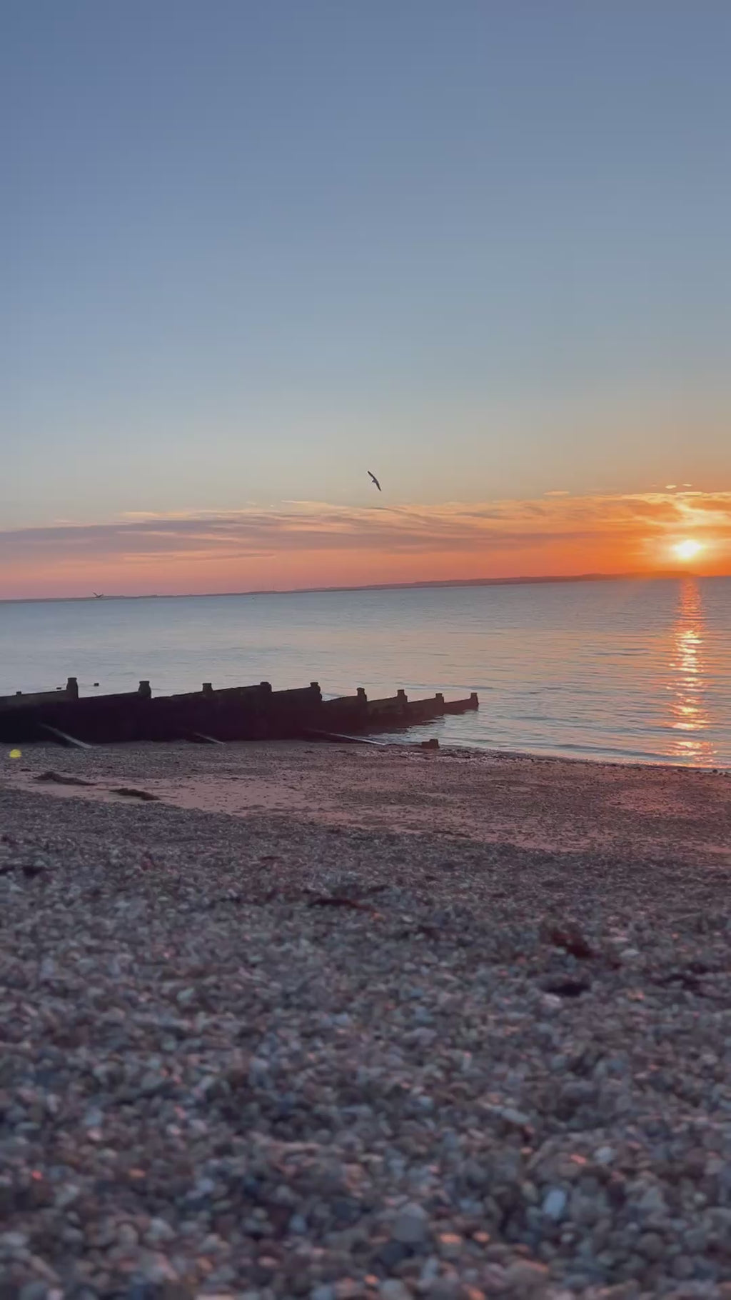 Whitstable Love - Reed Diffuser