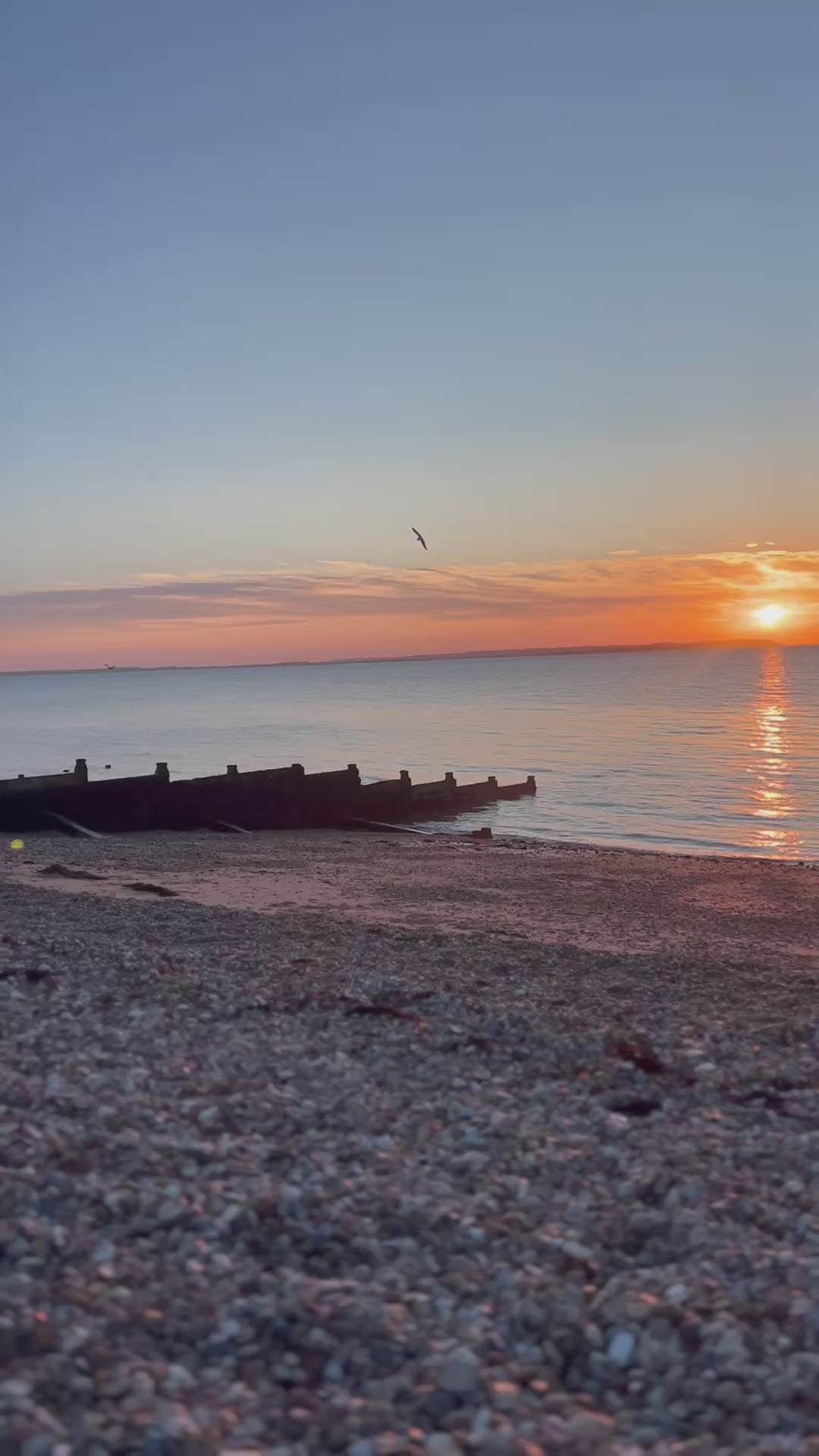 Whitstable Love - Reed Diffuser